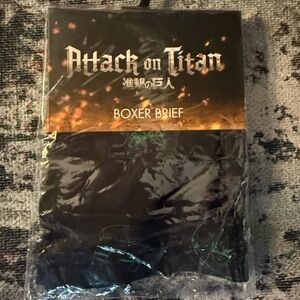 Ripple Junction Attack on Titan Black Boxer Briefs